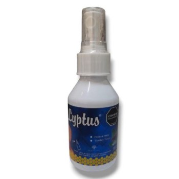 SPRAY (LYPTUS)  MENTA...